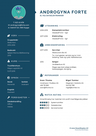 Picture of the CV the students are getting